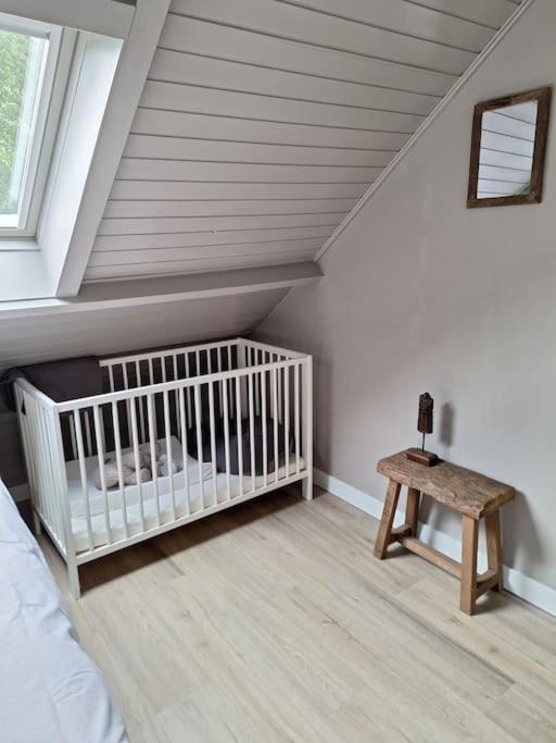 Family Wellness Lodge 4 Personen Zuid-Holland! Ooltgensplaat Zewnętrze zdjęcie